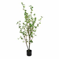 60  Potted Baby Leaf Tree