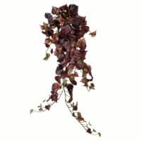 34  Burgundy Grape Leaf Hanging Bush - FZ190534