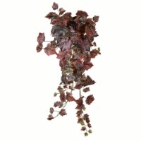 39  Burgundy Grape Leaf Hanging Bush - FZ190539