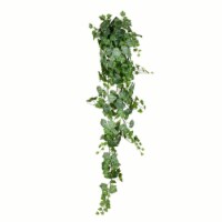 6' Green & White Grape Ivy Hanging Bush - FZ192472