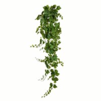 6' Green Grape Ivy Hanging Bush - FZ192172