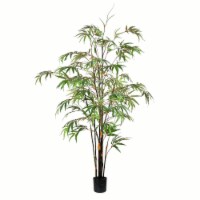 5' Potted Black Japanese Bamboo Tree - TB190150