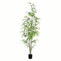 5' Potted Mini Bamboo Tree 819 Leaves - TB190450