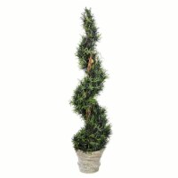 54  Potted Rosemary Spiral - FG190254