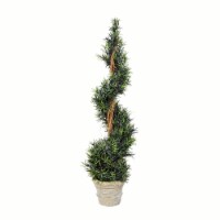 45  Potted Rosemary Spiral - FG190245