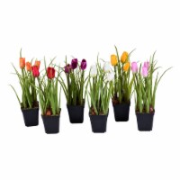10  Potted Tulip Assortment 6/set - FE190601