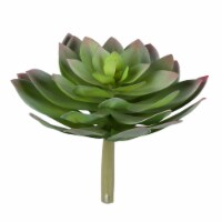 10  Green Succulent Stem - FH190710