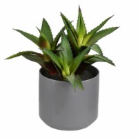 10  Green Potted Aloe - FH191010