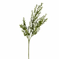 26  Green Eucalyptus Bush Pk/4 - FF190726