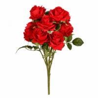 17.5  Red Rose Bush - FR190379
