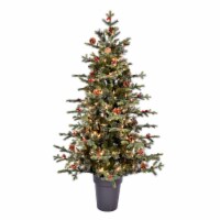 5' x 41  Potted Timberline DuraLit 250CL - K190751
