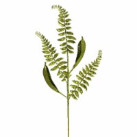 Vickerman 33  Lime Fern Leaf Spray 6/Bag - QG192273