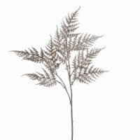 29  Champagne Glitt Asparagus Spray 4/Bg
