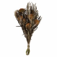 12  Autumn Banksia Foliage Flower 4Oz