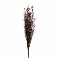 36-40  Bell Grass W/Red Pod Bundle