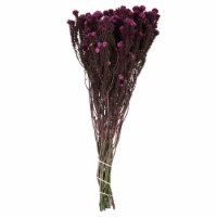 16-22  Purple Orchid Cotton Phylica 4Oz