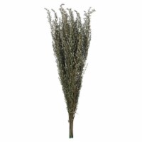 22-26  Natural White Grabia 5-6Oz Bundle