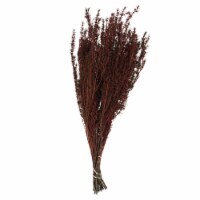 22-26  Red Grabia 5-6Oz Bundle