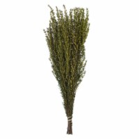 22-26  Yellow Grabia 5-6Oz Bundle