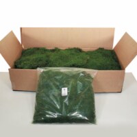 Green Moss Sheet - 6.6 lbs/Box - H1MOU150