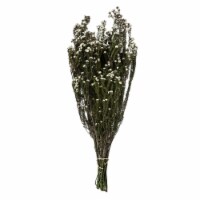 12-22  Nat White Phylica Bundle 5Oz