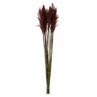 36  Merlot Plume Reed Bundle 7Oz