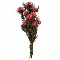 8-20  Pink Punch Plumosum Bundle 8 Heads