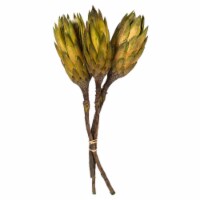 8-12  Basil Repens on Nat Stem 180/Cs - H1REP100