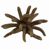 3-4  Natural Green Spider Claws 16-20/Pk