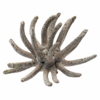 3-4  Frosted White Spider Claws 16-20/Pk