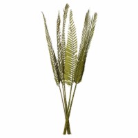 38-48 Basil Coco Palm Designer Cut 6/Pk