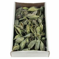 5-9  Frosted Green Brachy Clusters 1.1Lb