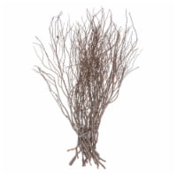 36 Tigerwood Stem Bundle - 25/Pk