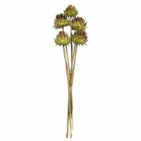 15  Basil Artichoke On Stem 9/Pk