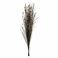 36-40  Bell Grass W/Natural Pod 16Oz