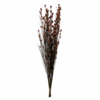 36-40  Bell Grass W/Merlot Pod 16Oz