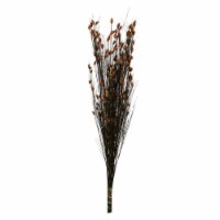 36-40  Bell Grass W/Autumn Pod 16Oz