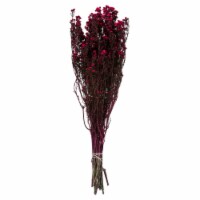 12-22  Raspberryphylica Bundle 10Oz