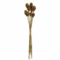 18-24 Cream Platy Cone Stem 20/Pk