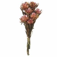 8-20  Erica Pink Plumosum Bundle-13Heads