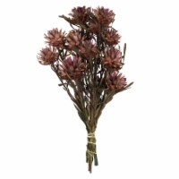 8-20  Purple Orchid Plumosum - 13 Heads