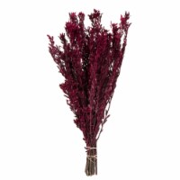 18-20 Merlot Pubescens Bundle 10Oz