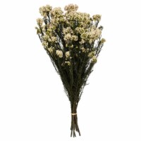 16  Natural Blush Rice Flower Bu 9.5Oz