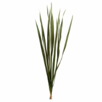18-30 Basil Snake Grass - 36 Stems
