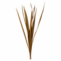 18-30 Asp Gold Snake Grass - 36 Stems