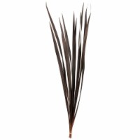 18-30 Brown Snake Grass - 36 Stems
