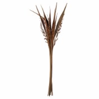 36 Natural Bahia Spears 18Pc Bunch