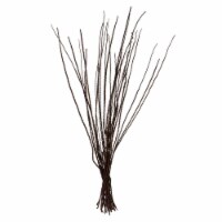 36-40 Dk Brown Caba Spines 24Oz
