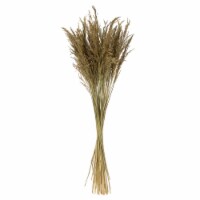 36 Natural Congo Grass 16Oz