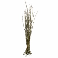 35-40 Basil Moneta Branches 16Oz